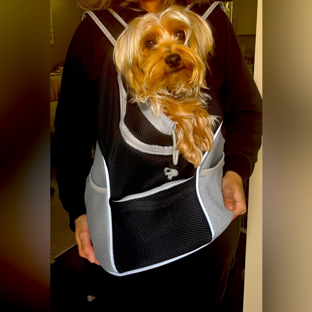 Black/Gray Mesh Doggie Backpack Carrier